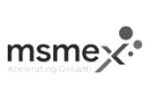msmex